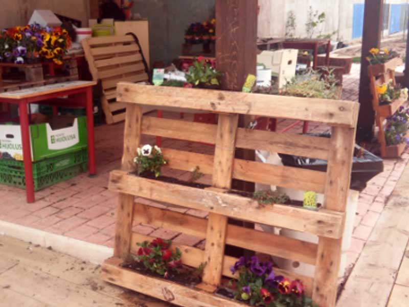 Jardines verticales. CEIP. Navahonda