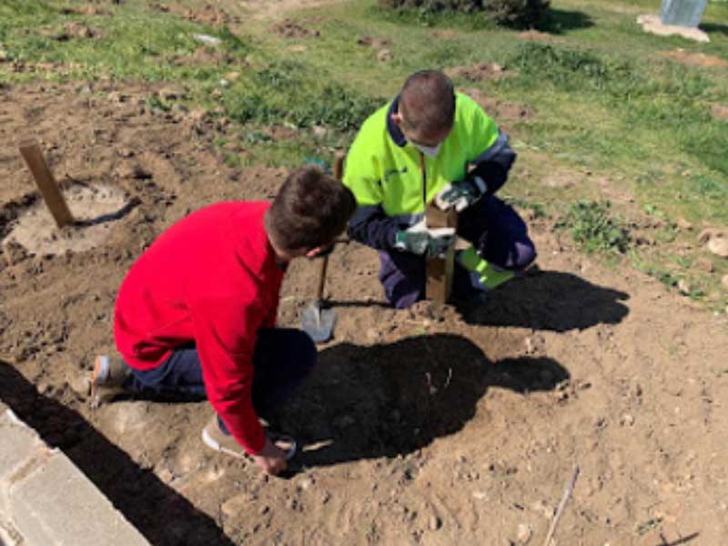 Reforestacion del lisadero. CEIP. Navahonda