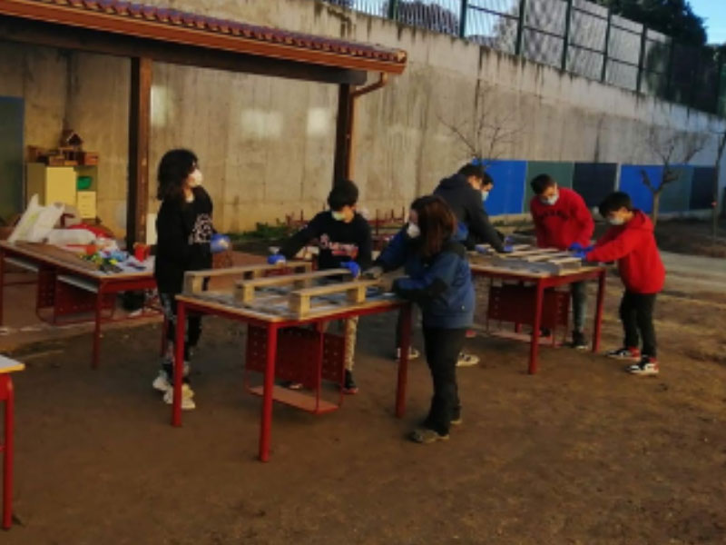 Jardines verticales. CEIP. Navahonda