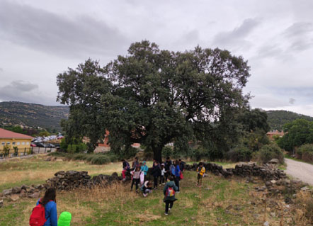 Salidas al entorno. CEIP. Navahonda