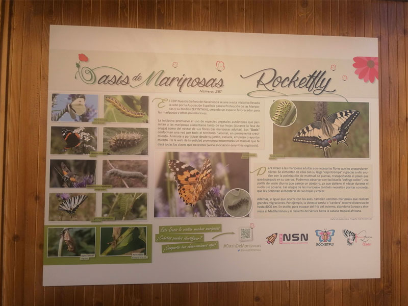 Rocketfly. Oasis de mariposas.CEIP. Navahonda