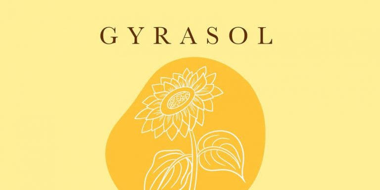 ¡Nuevas actividades en Gyrasol!