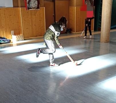 FEDERACIÓN DEPORTIVA DE HOCKEY