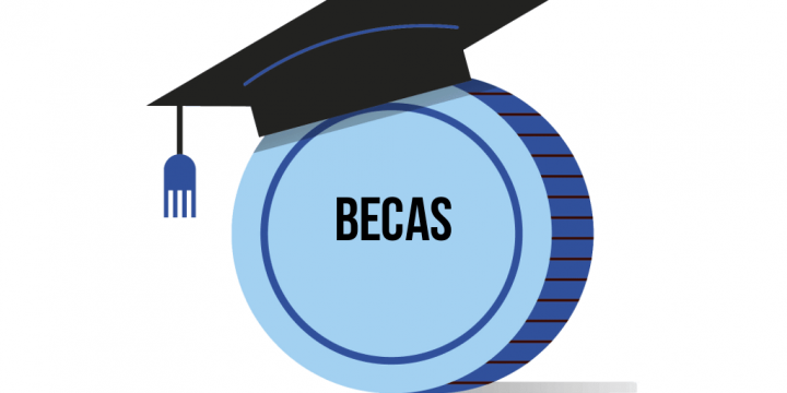 Becas para el alumnado con necesidades educativas especiales. Información de interés