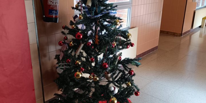 La Navidad llego al cole. ¡Gracias a todos/as por el gran esfuerzo que habéis hecho para que salga todo tan bien!