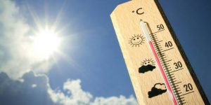 PLAN DE ACCIÓN CONTRA OLAS DE CALOR