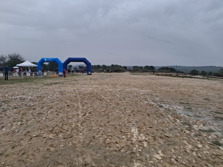 Cross Pozuelo 2025