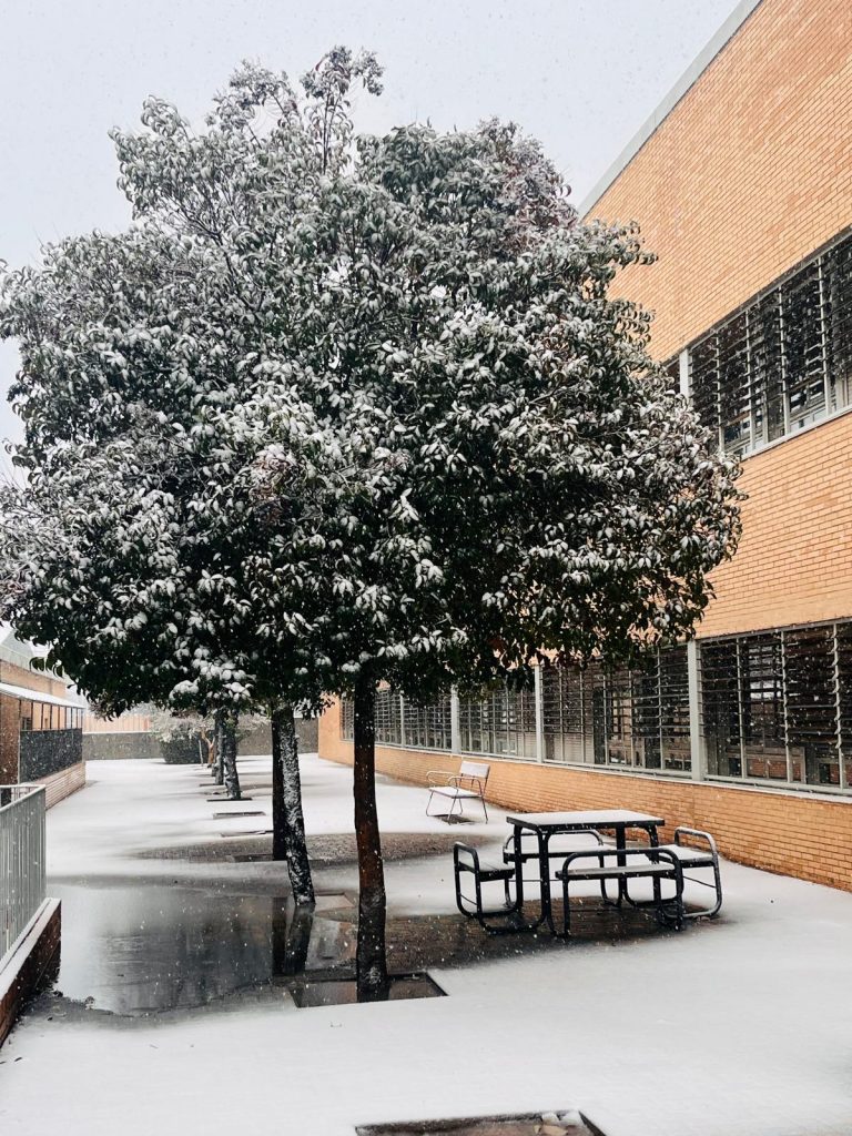 ¡ Está nevando en el cole!