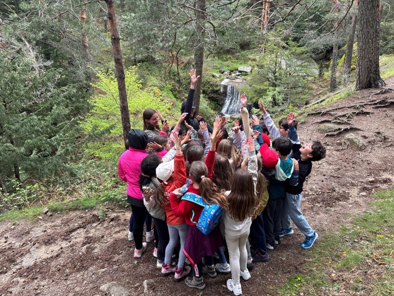 Cercedilla 4º Primaria
