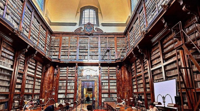 Nuevos libros para la biblioteca