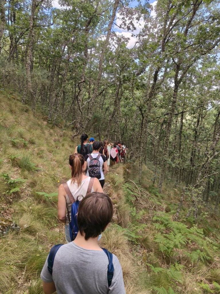 Viaje fin de curso 6º Primaria