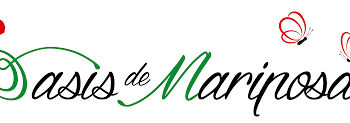 ¡Somos un Oasis de Mariposas!