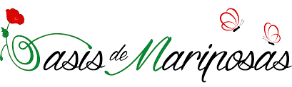 ¡Somos un Oasis de Mariposas!