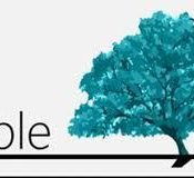Roble – Información y guía de uso