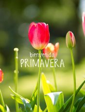 BIENVENIDA PRIMAVERA