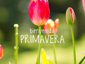 BIENVENIDA PRIMAVERA