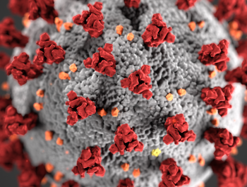 What is Coronavirus?