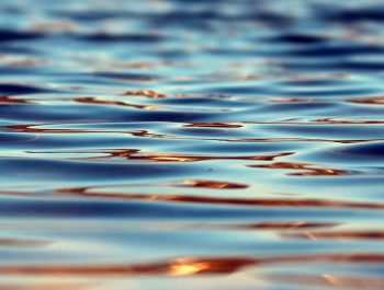 ¿De dónde viene el agua?