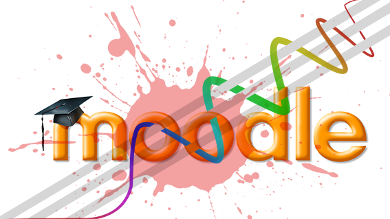 P6 AULA VIRTUAL