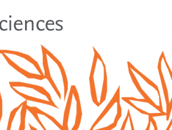 1º Social Science – 27 al 30 de abril