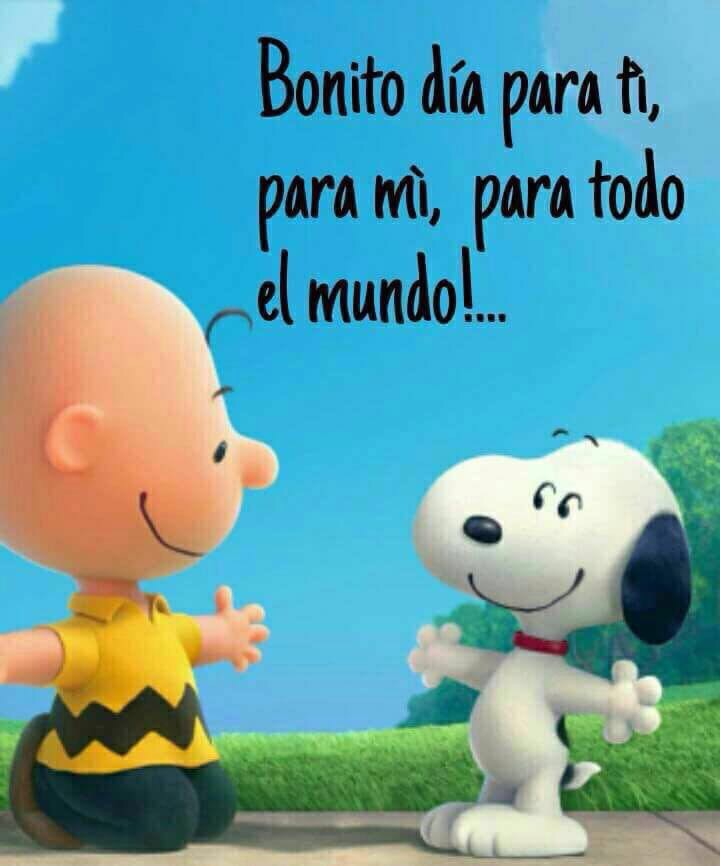 Mensaje del día 26 de mayo