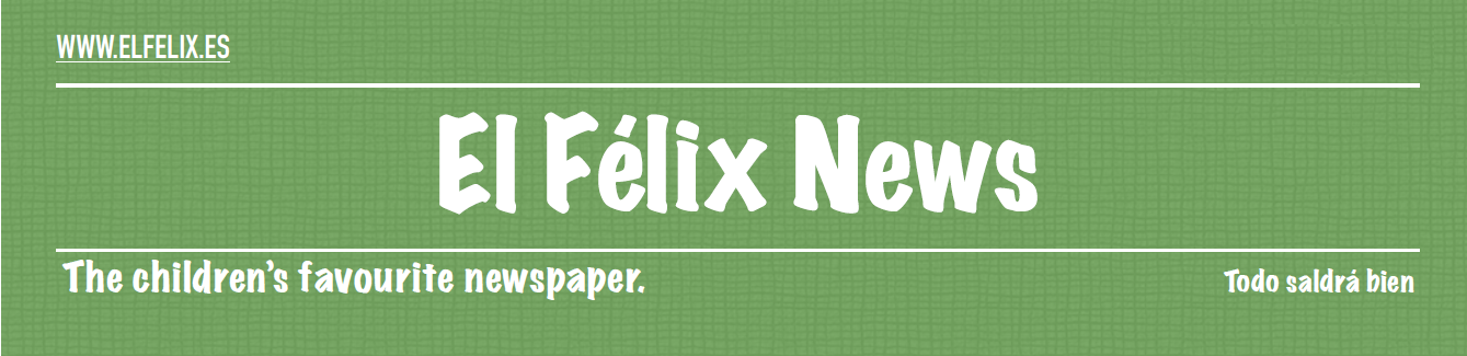 P6 El Félix News – Sección de Actualidad