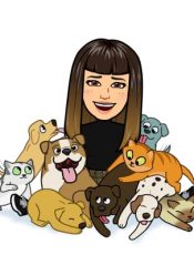 3 AÑOS. English. «The Zoo Vet» Storytelling
