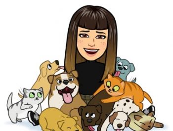 3 AÑOS. English. «The Zoo Vet» Storytelling