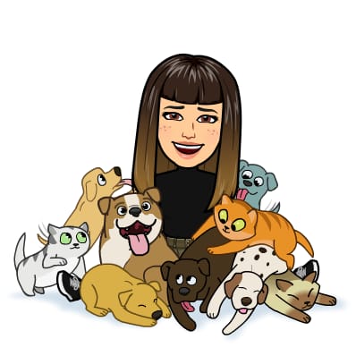 3 AÑOS. English. «The Zoo Vet» Storytelling