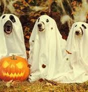 5 years old. HAPPY HALLOWEEN HORROR PICTURES!!