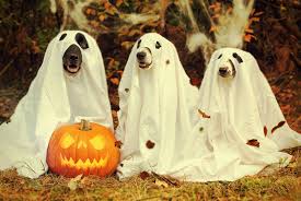 5 years old. HAPPY HALLOWEEN HORROR PICTURES!!