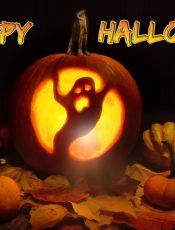 Halloween Photos 5º!!