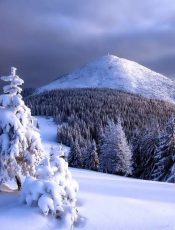 ¡¡Bienvenidos al 2021: «Año de nieves…»!!
