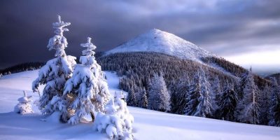 ¡¡Bienvenidos al 2021: «Año de nieves…»!!