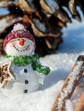 -Infantil 3 años y mixto 3/4- ¡Cuánta nieve!