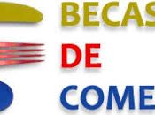 PRECIO REDUCIDO DE COMEDOR PARA EL CURSO 2021-2022