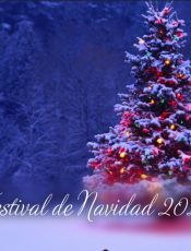 FESTIVAL DE NAVIDAD 2020