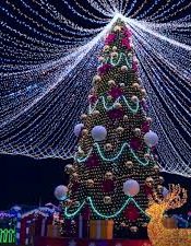 VOLVEMOS A CELEBRAR EL FESTIVAL DE NAVIDAD CON TODOS VOSOTROS