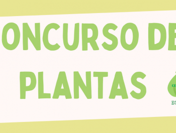 CONCURSO DE PLANTAS