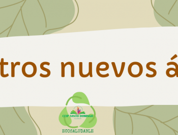Tenemos nuevos compañeros de patio. ¡Nos han plantado árboles!