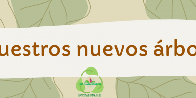 Tenemos nuevos compañeros de patio. ¡Nos han plantado árboles!