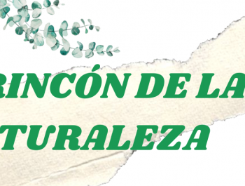 INAUGURAMOS EL RINCÓN DE LA NATURALEZA