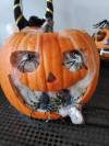 IMG_20211027_101911