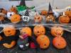IMG_20211028_090957_1