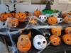 IMG_20211028_091003