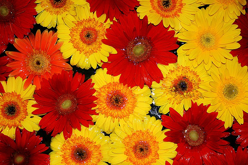 MERCADILLO DE PRIMAVERA