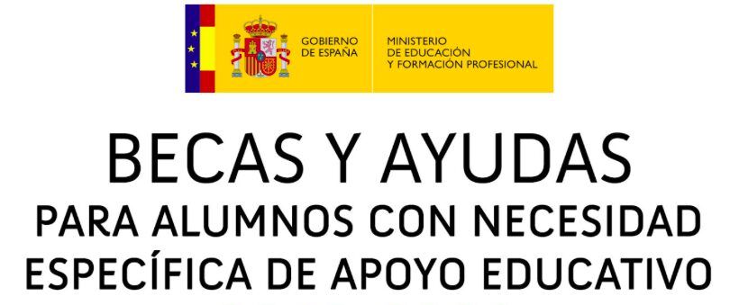 CONVOCATORIA AYUDAS ACNEAE 25-26