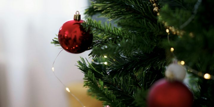 FELICES FIESTAS