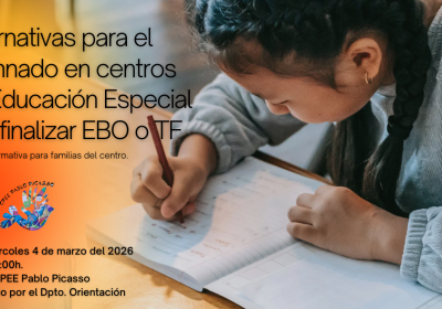 ALTERNATIVAS PARA EL ALUMNADO EN CPEE TRAS FINALIZAR EBO O TF