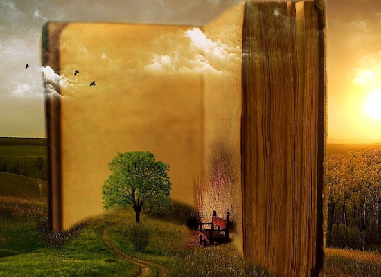 imagen de libro